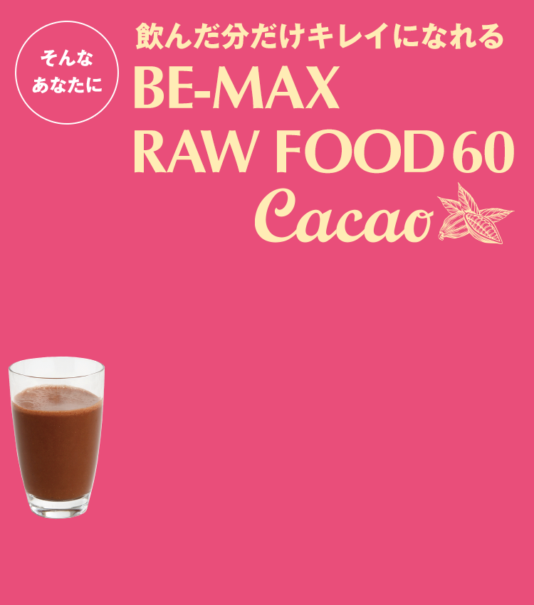 BE-MAX ローフード60 カカオ｜ライフ・マックス